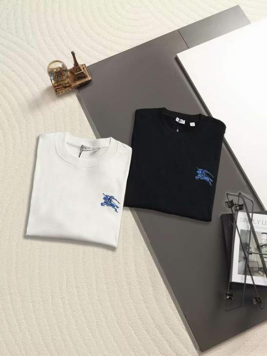 Picture of Burberry T Shirts Short _SKUBurberryS-XLxetr20419416